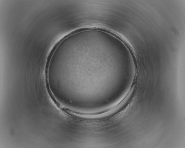 X0000111870943200907231510