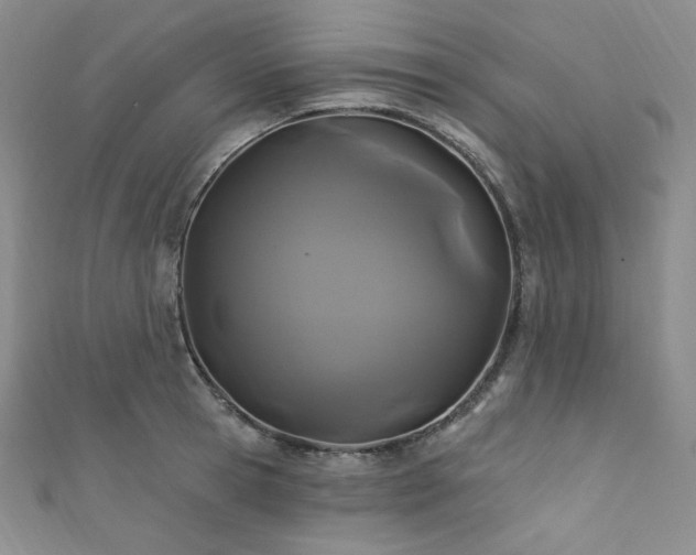 X0000111870945200907231510