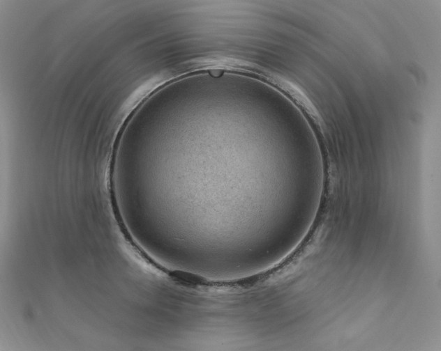 X0000111870946200907231510