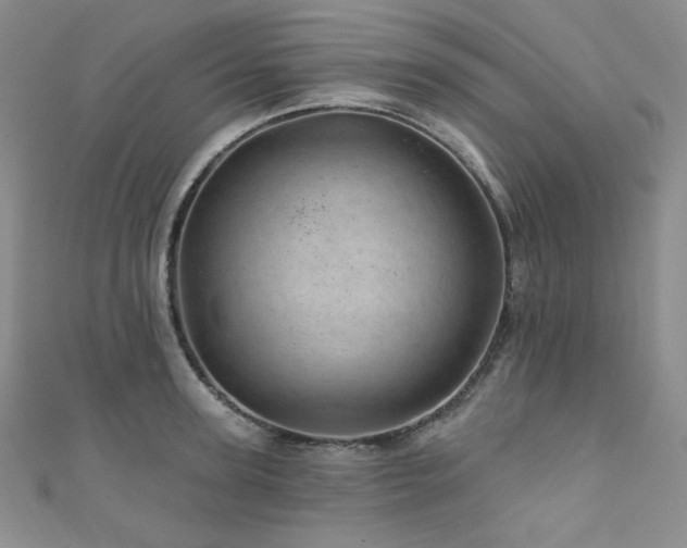 X0000111870947200907231510