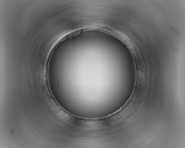 X0000111870948200907231510