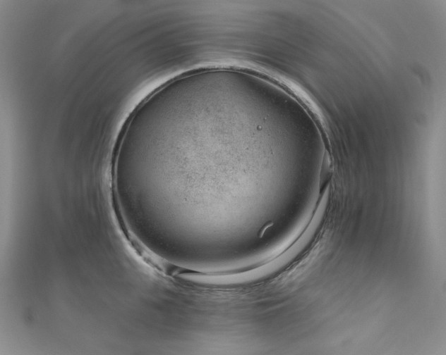 X0000111870951200907231510