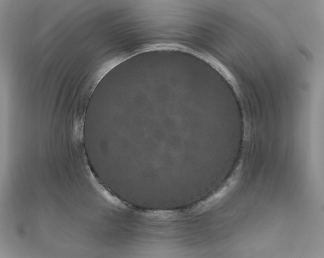 X0000111870953200907231510