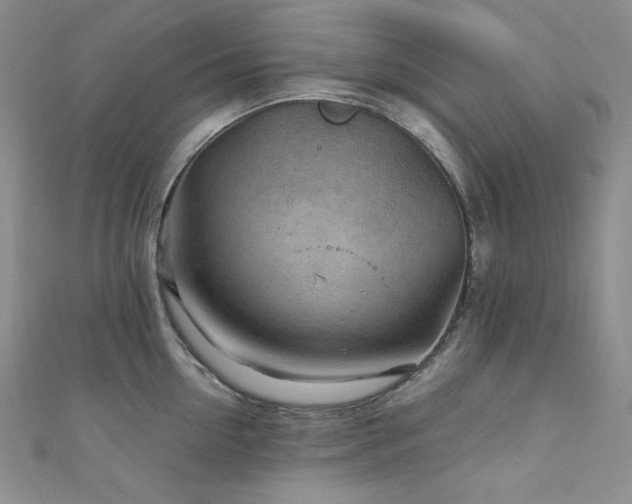 X0000111870954200907231510