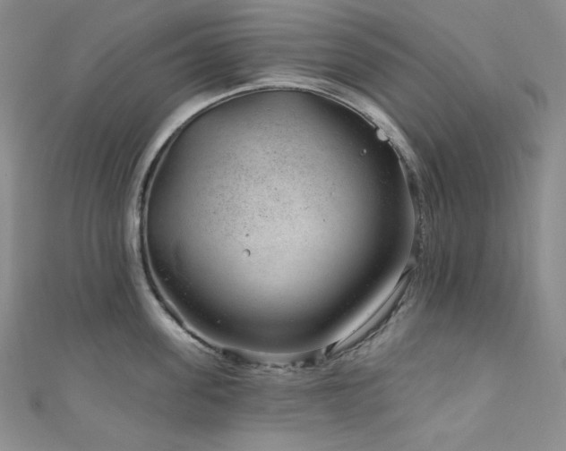 X0000111870955200907231510
