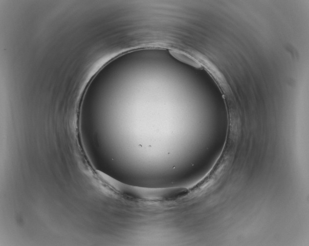 X0000111870956200907231510