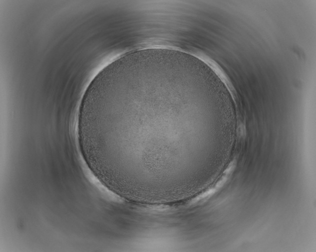 X0000111870957200907231510