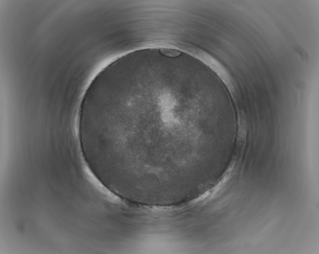 X0000111870958200907231510