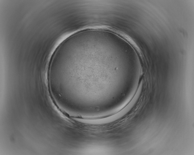 X0000111870959200907231510