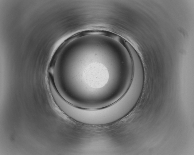 X0000111870960200907231510