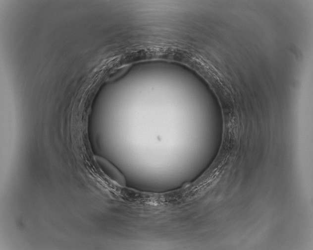 X0000111870961200907231509