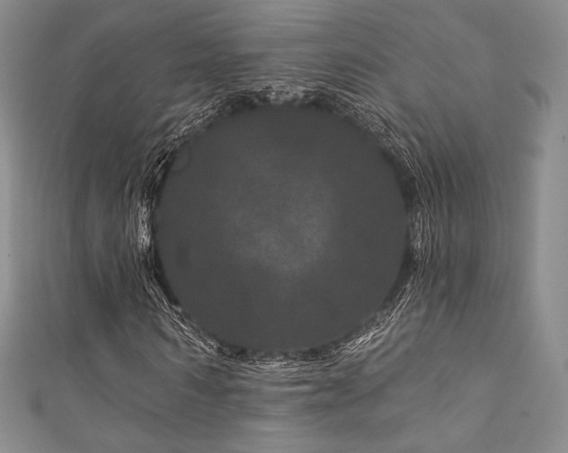 X0000111870962200907231509