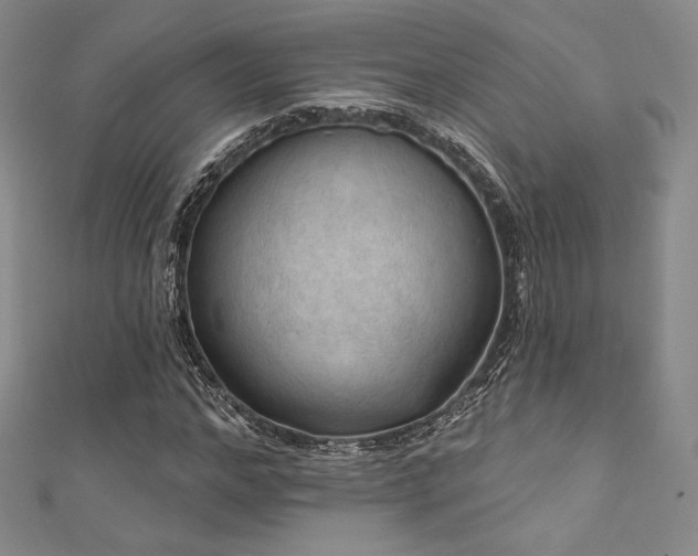 X0000111870968200907231509