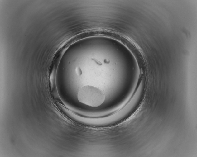 X0000111870969200907231509