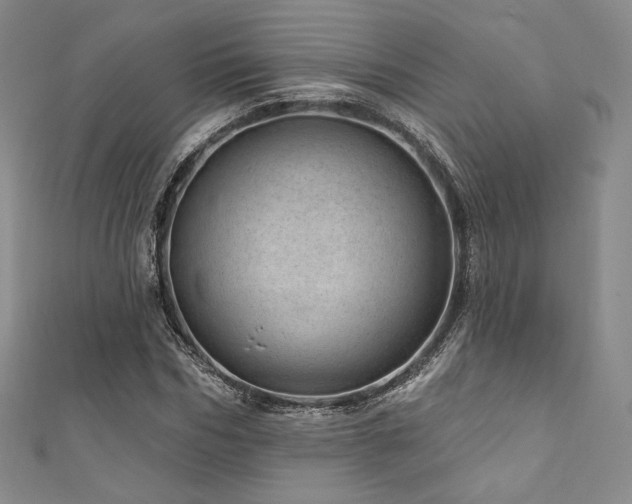 X0000111870970200907231509