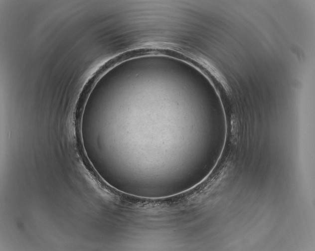 X0000111870972200907231509