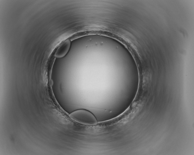 X0000111870973200907231509