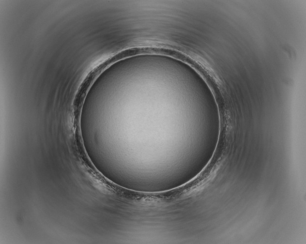 X0000111870974200907231509