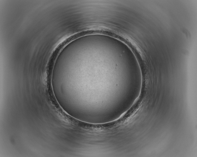 X0000111870975200907231509