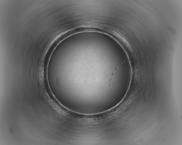 X0000111870976200907231509