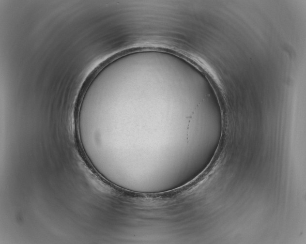 X0000111870980200907231509