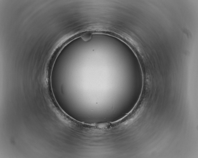 X0000111870981200907231509