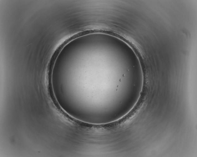 X0000111870983200907231509