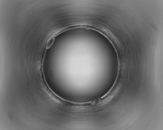 X0000111870985200907231509