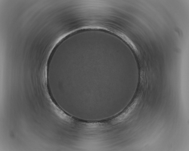 X0000111870988200907231509