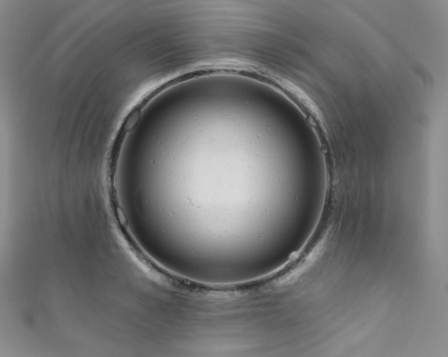 X0000111870989200907231509