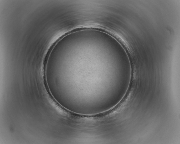 X0000111870990200907231509