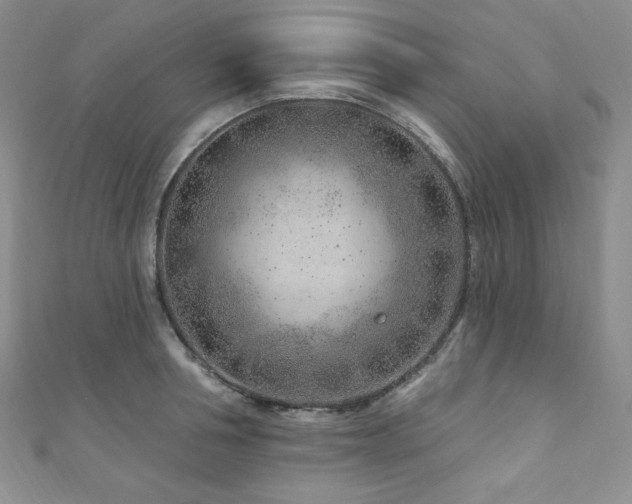 X0000111870994200907231509