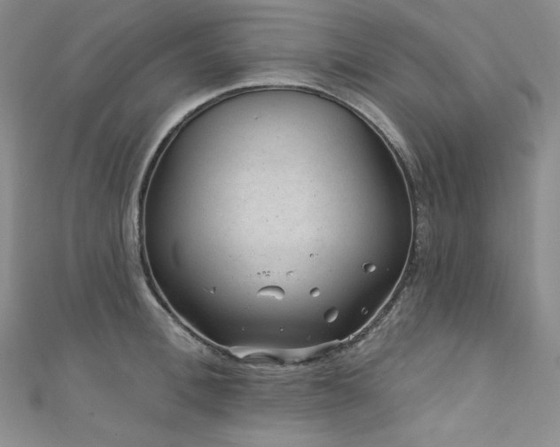 X0000111870996200907231509