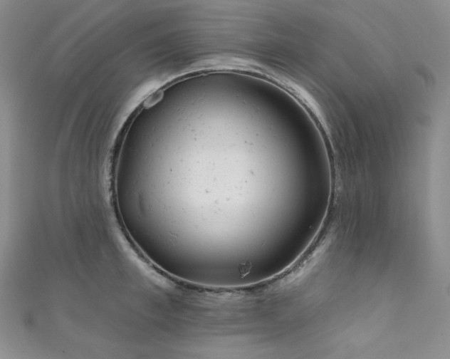 X0000111870997200907231509