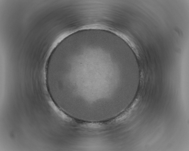 X0000111870998200907231509