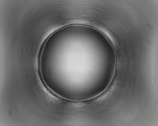 X0000111870999200907231509