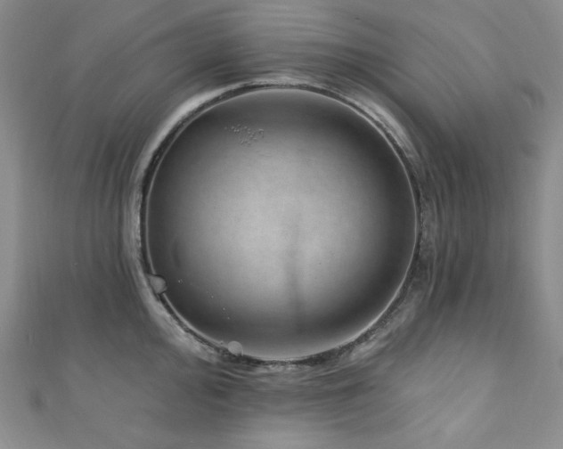 X0000111871000200907231509