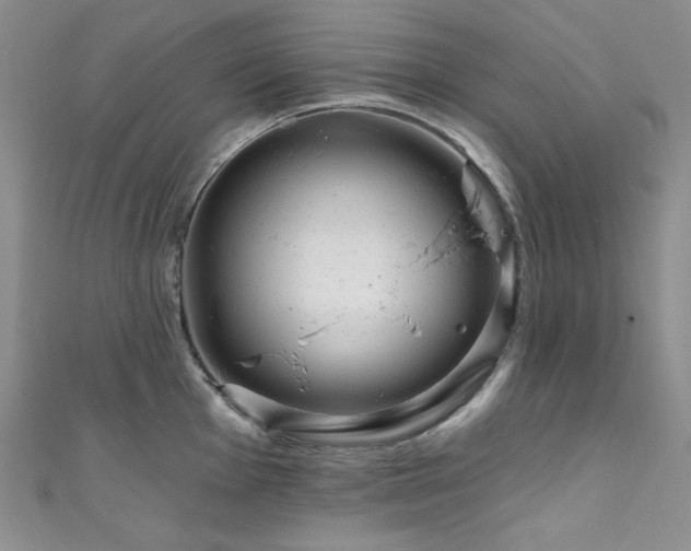 X0000111871001200907231509