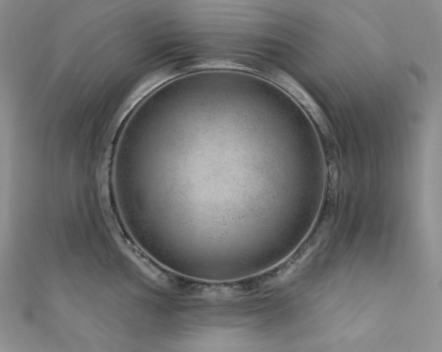 X0000111871002200907231509