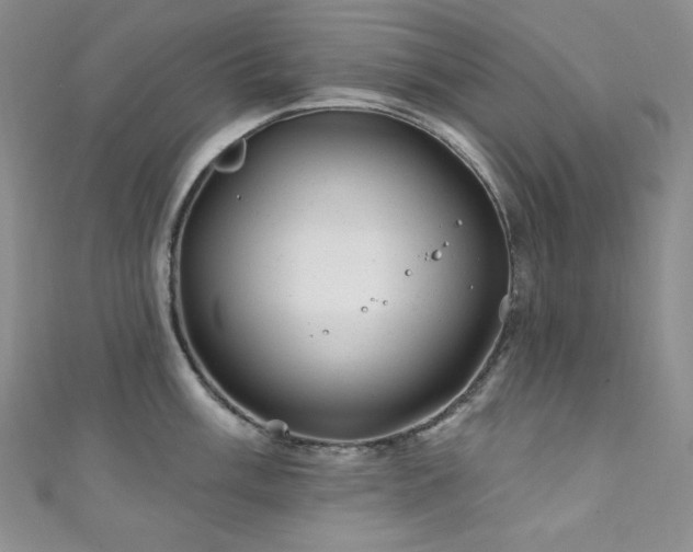 X0000111871003200907231509