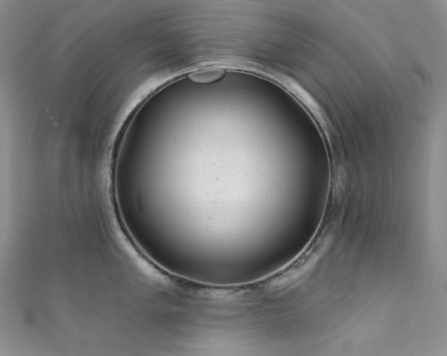 X0000111871005200907231509