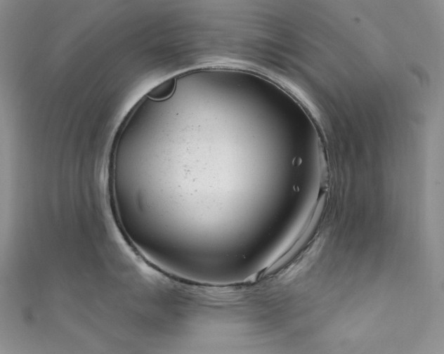 X0000111871007200907231509