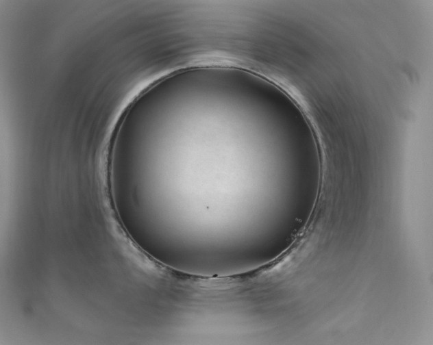 X0000111871008200907231509