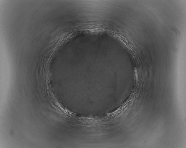 X0000111871009200907231508