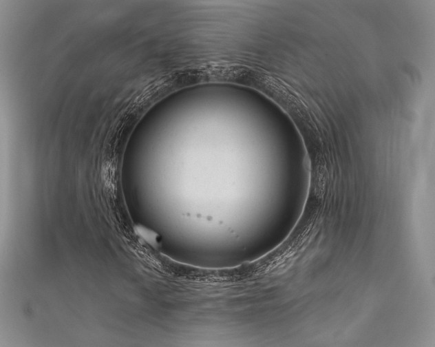 X0000111871010200907231508