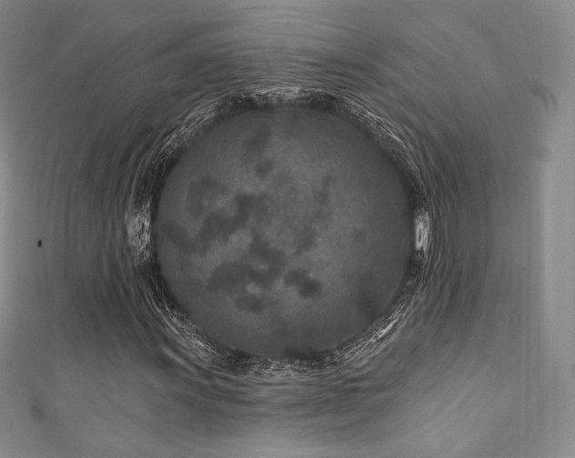 X0000111871011200907231508