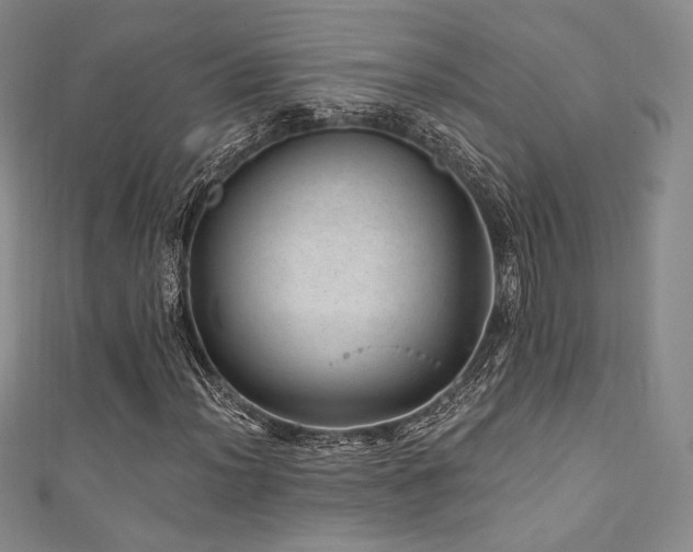 X0000111871012200907231508