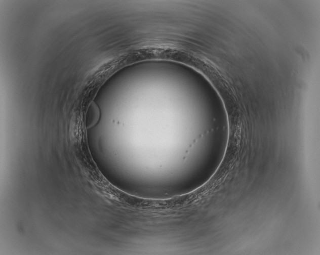 X0000111871014200907231508