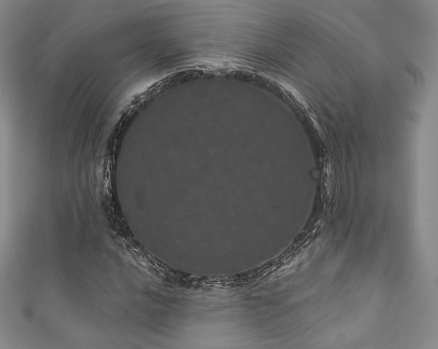 X0000111871016200907231508