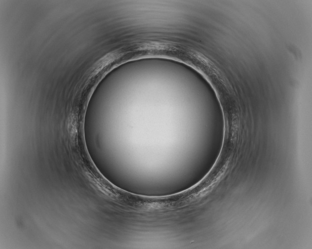 X0000111871017200907231508
